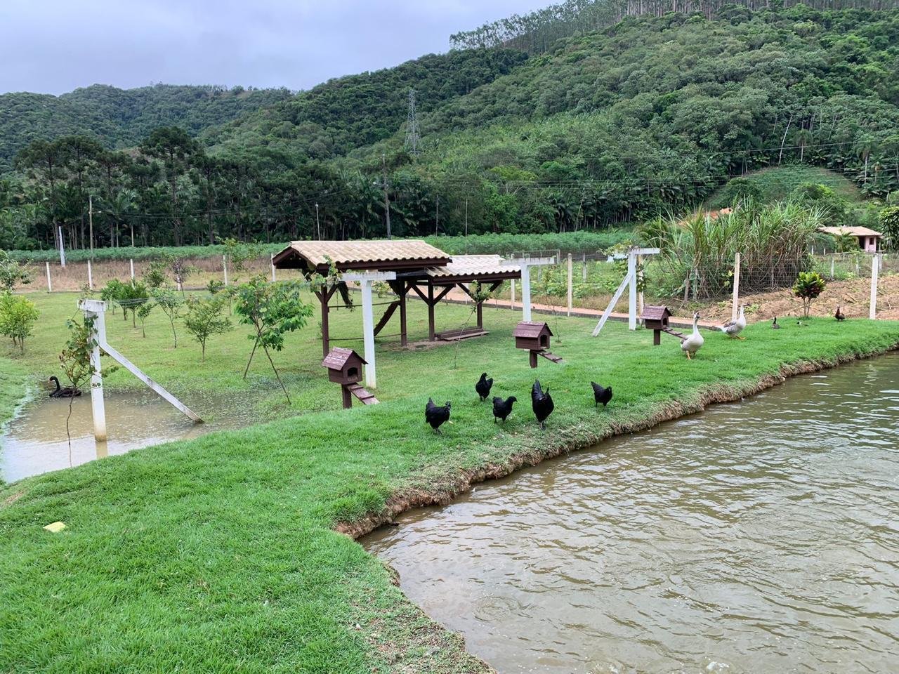 Fazenda, 3 hectares - Foto 18