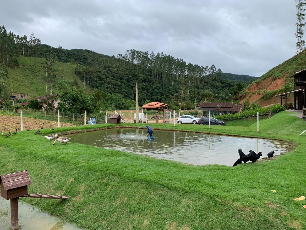 Fazenda, 3 hectares - Foto 17