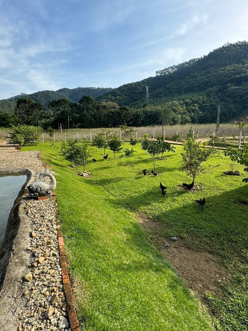 Fazenda, 3 hectares - Foto 22