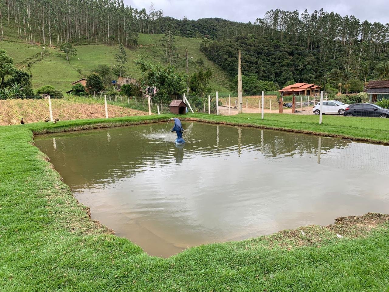 Fazenda, 3 hectares - Foto 20